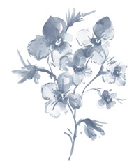 Black White & Grey Blooms II