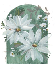 White Blooms on Green I