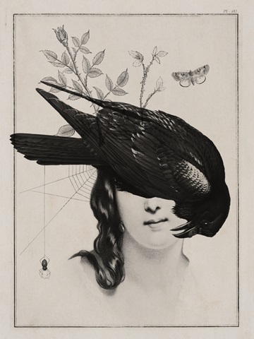 The Raven's Daughter ll