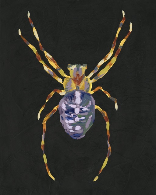 Spider Cameo I