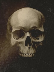 Vintage Skull Specimen I