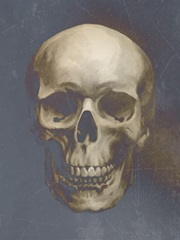 Vintage Skull Specimen II