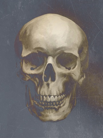 Vintage Skull Specimen II