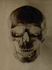 Vintage Skull Specimen III