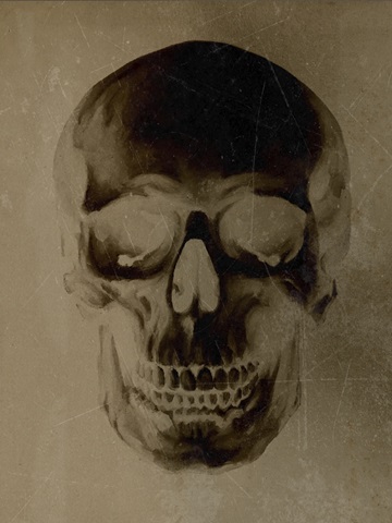 Vintage Skull Specimen III