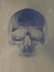 Vintage Skull Specimen IV