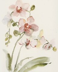 Autumn Orchid l