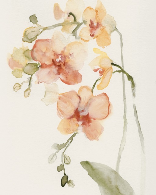 Autumn Orchid ll