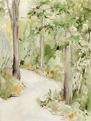 Sunlit Country Path l