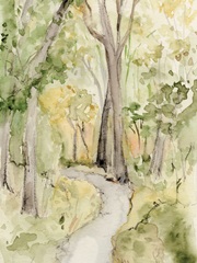 Sunlit Country Path ll