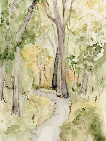 Sunlit Country Path ll