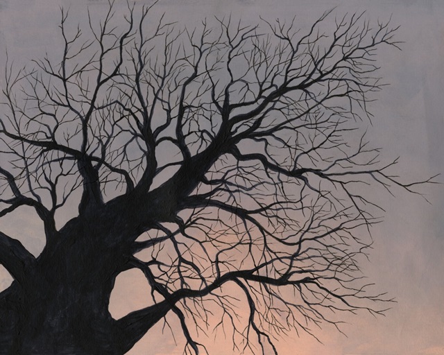 Gnarled Tree II