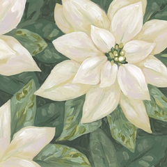 Pearlescent Poinsettia I