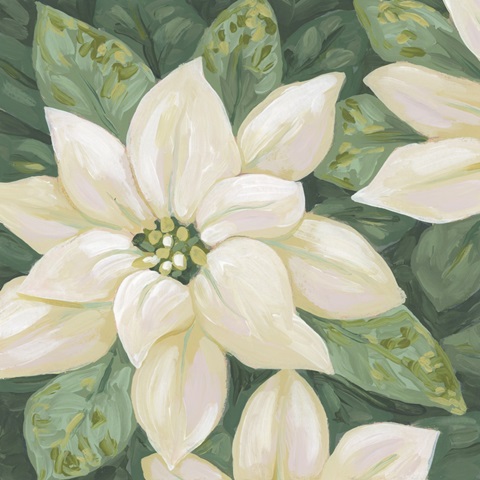 Pearlescent Poinsettia II