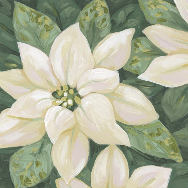 Pearlescent Poinsettia II