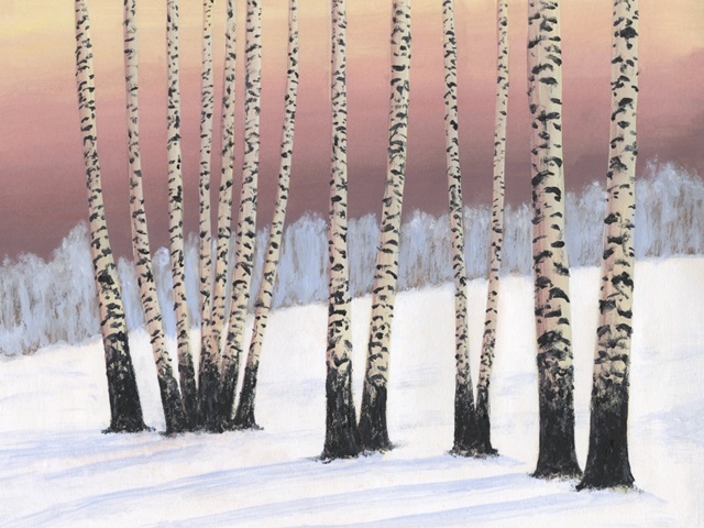 Birch Stand II
