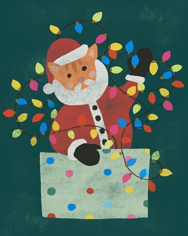 Santa Claws Shenanigans I