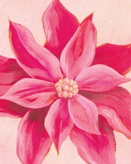 Hot Pink Poinsettias II