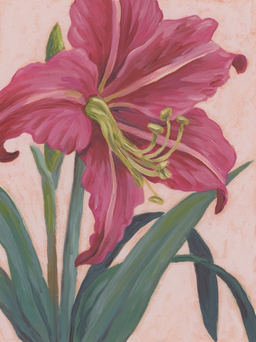 Vibrant Amaryllis I
