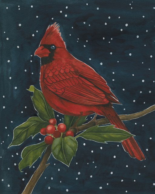 Midnight Cardinal II