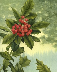 Holly Berries I