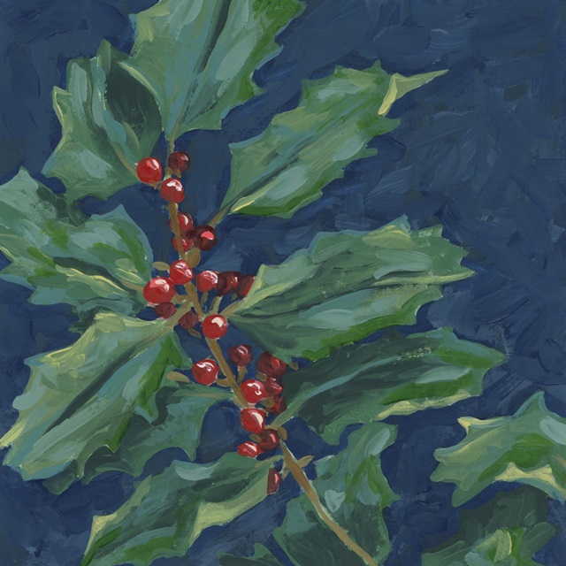 Velvet Holly II