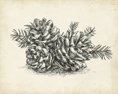 Christmas Conifers II