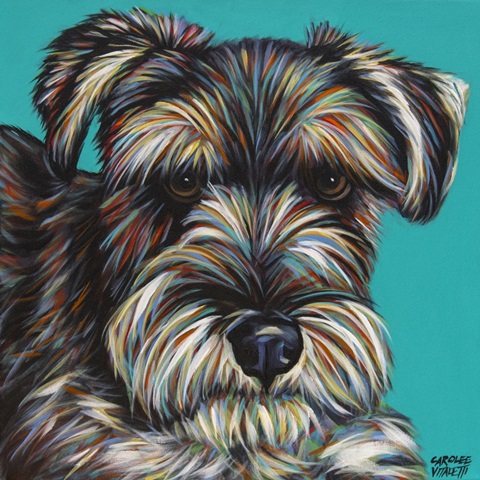 Colorful Terrier