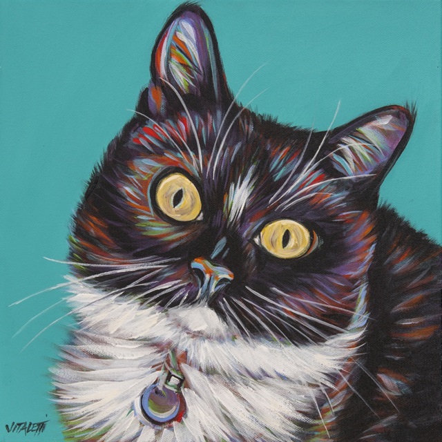 Colorful B&W Cat