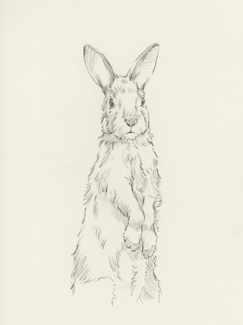 All Ears I
