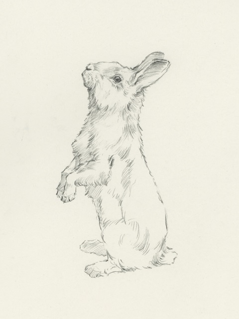 All Ears II