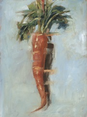Carrot Study I