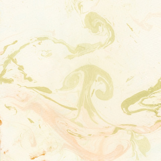 Marbled Moss l