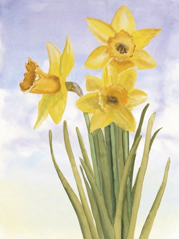 Alfresco Daffodils I