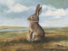 Renaissance Rabbit I