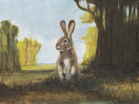 Renaissance Rabbit II