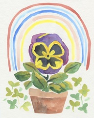 Happy Pansy II
