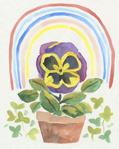 Happy Pansy II