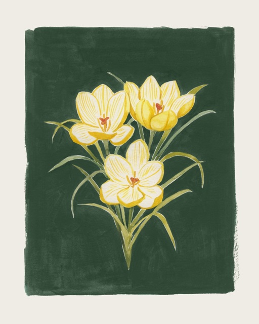 Golden Crocuses I