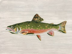 Trophy Trout I