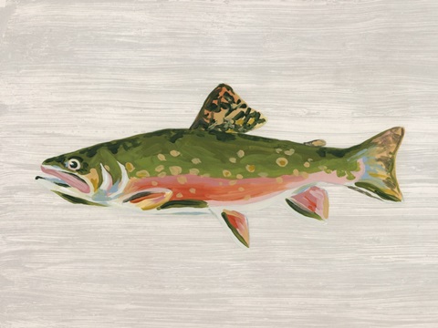 Trophy Trout I