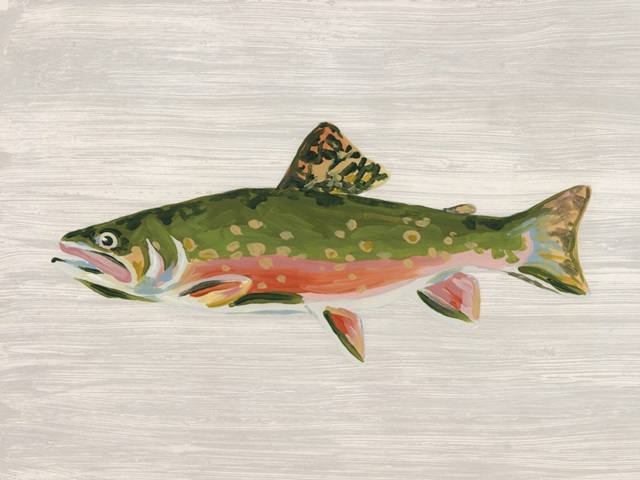 Trophy Trout I