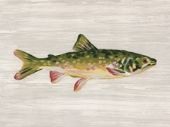 Trophy Trout II