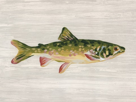 Trophy Trout II