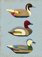 Decoy Ducks I