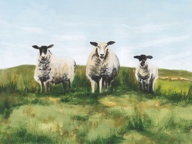Solitary Sheep I