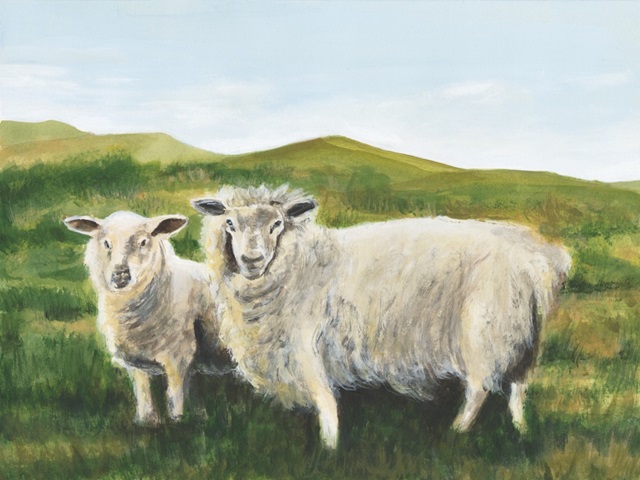 Solitary Sheep II