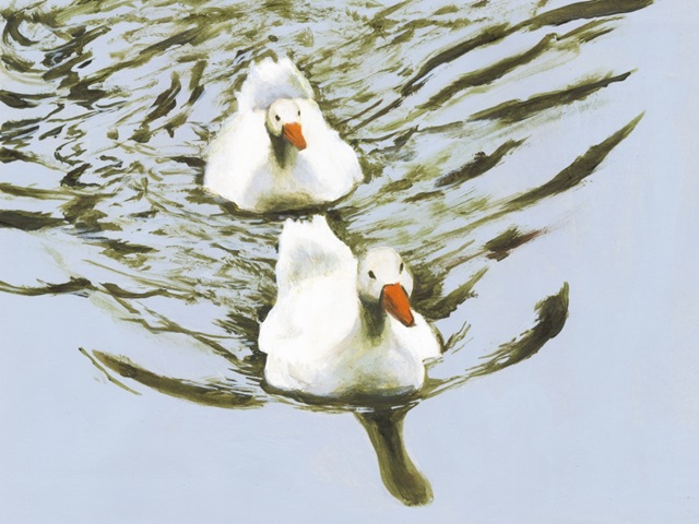 Delicate Ducks I