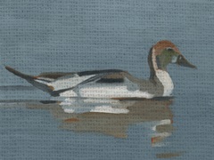 Quilted Duck I