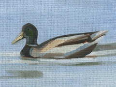 Quilted Duck II